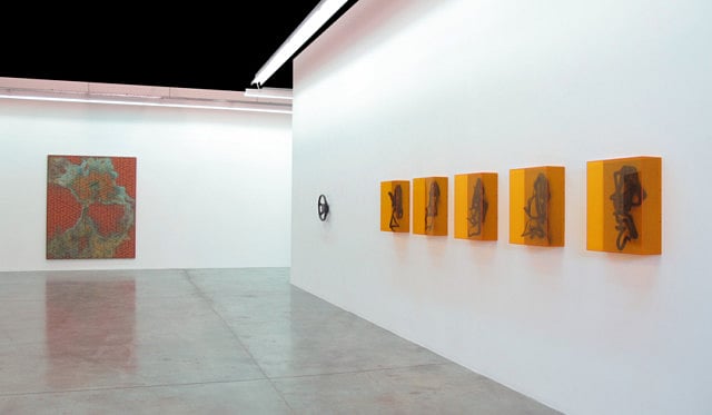 1.1268876-3029645972