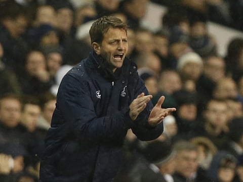 Tim Sherwood well aware success at Tottenham is not sack-proof