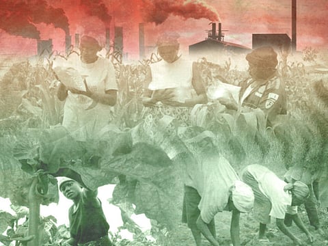 Land-grab phenomenon threatens Africa