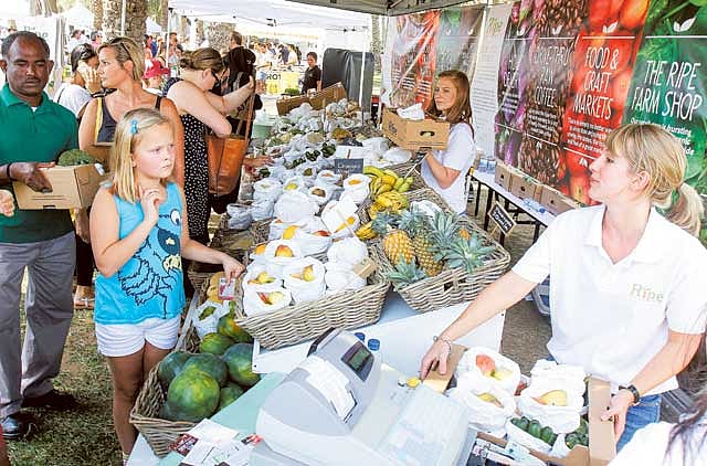 1.1262855-2918233534