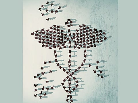 Dana A.Shams/©Gulf News