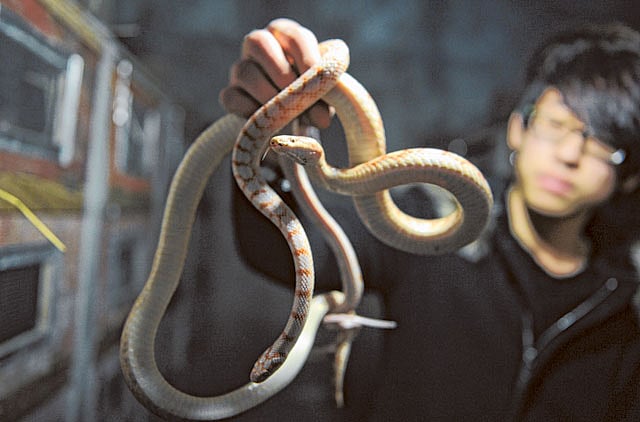 1.1144292-3028593688