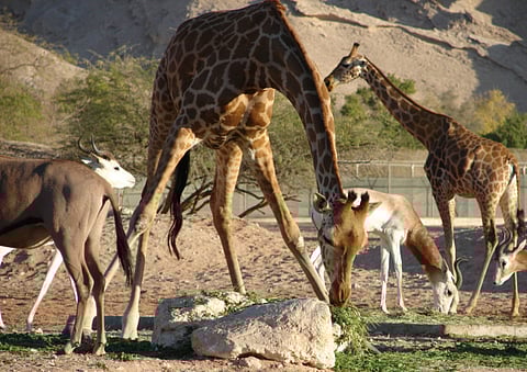 Letters: February 20, 2013