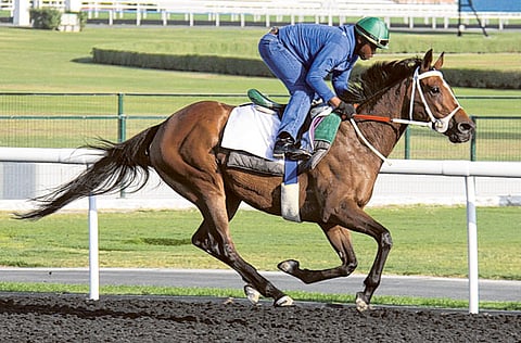 Courtesy: Dubai Racing Club