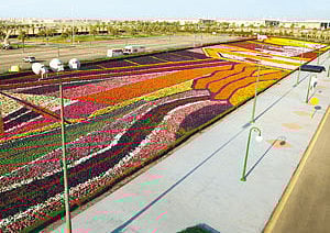 1.1149511-1219509223