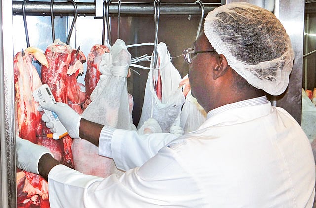 1.1151361-1426125972