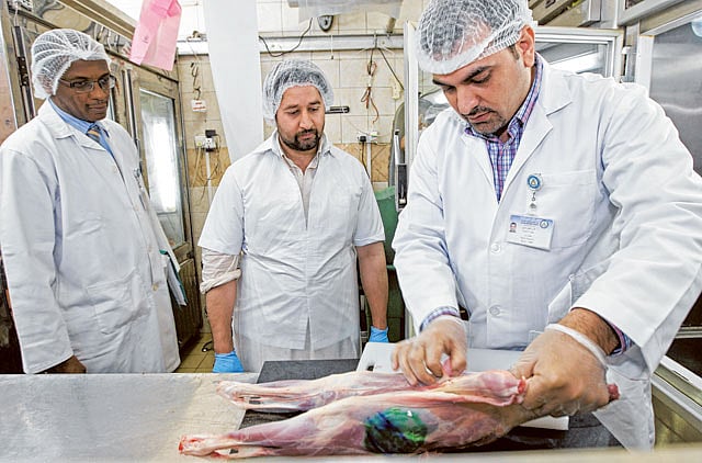 1.1152398-2694312168