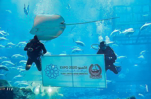 1.1151842-3840151337