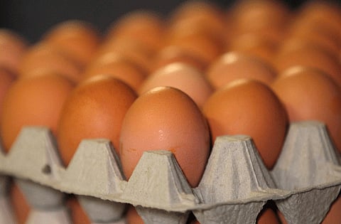 Egg vandals run amok in Springs, ruin house parties