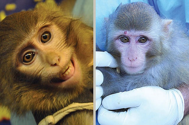 1.1141222-4073778025