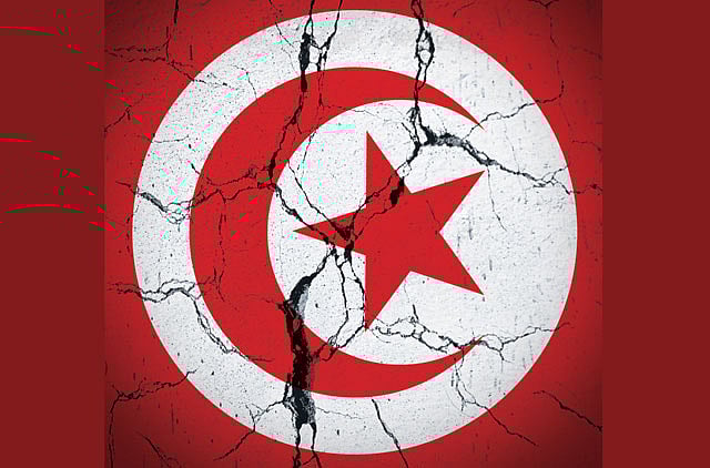 1.1143625-2774344633