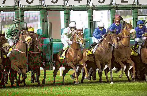 ANDREW WATKINS/Dubai Racing Club