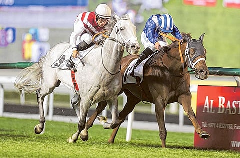 Courtesy: Dubai Racing Club
