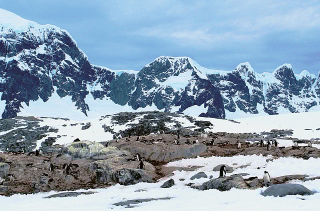 1.1318255-3757503375