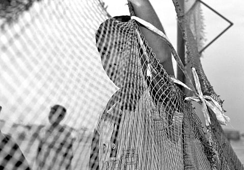 Courtesy: Spring of Culture Festival