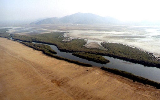 1.1160683-2614548637