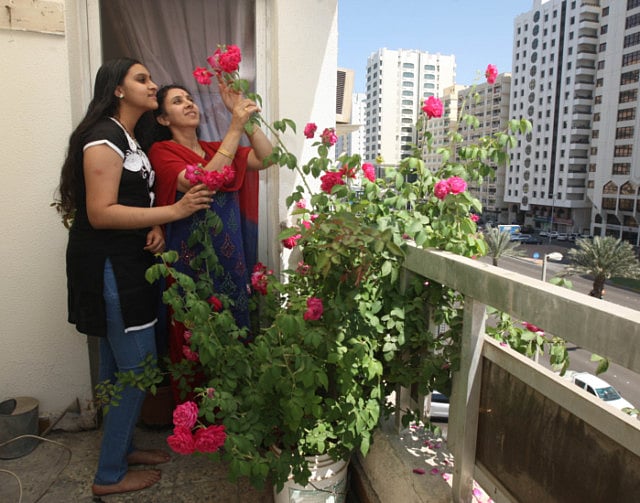 1.1160640-1051111419