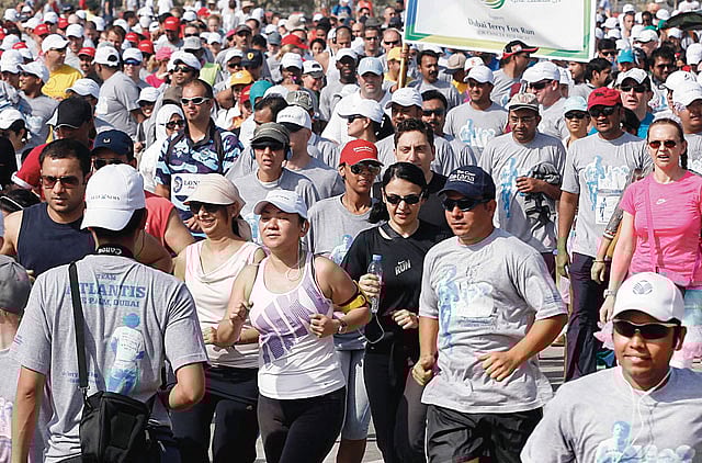 1.1161064-2334584568