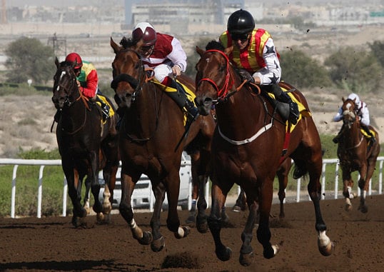 1.1161639-3527613306