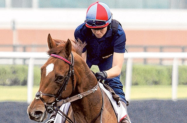 1.1162283-3930291360