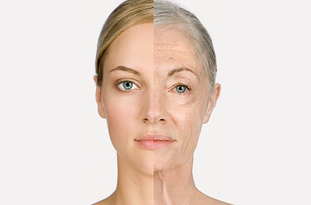 1.1163463-1343615542