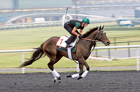 Virendra Saklani/Gulf News