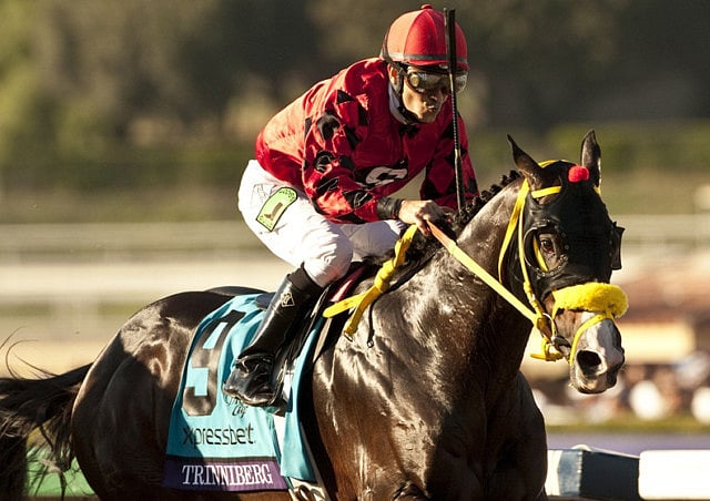 1.1163636-3864162202