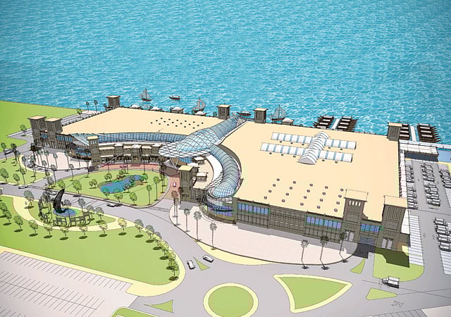 1.1163993-3804750454