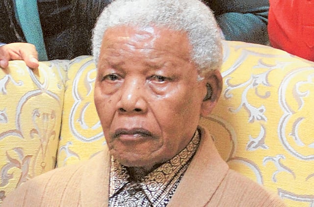 1.1164115-1780847445