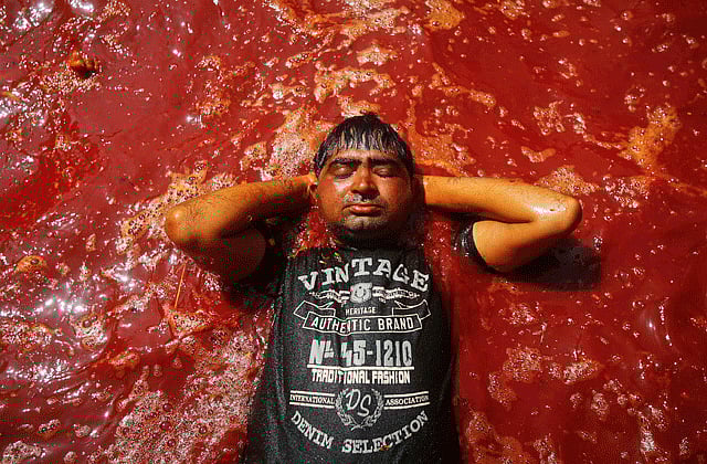 1.1164304-3599031315