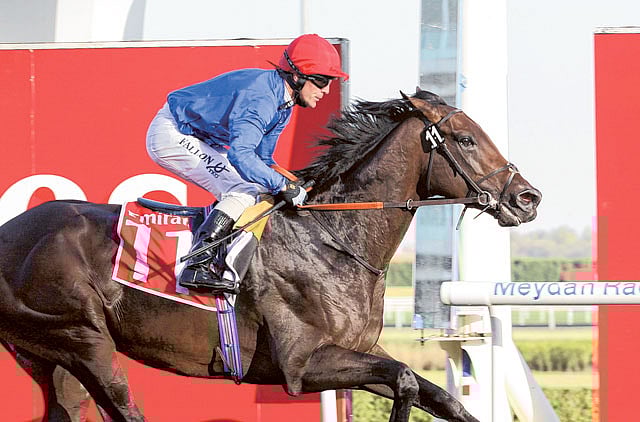 1.1164331-1609950225