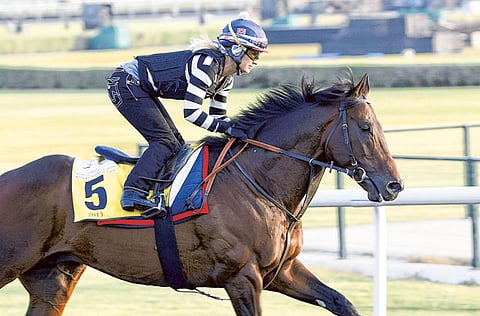  Virendra Saklani/Gulf News