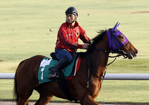  Virendra Saklani/Gulf News