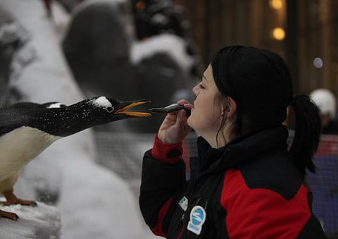 Francois Nel/Gulf News