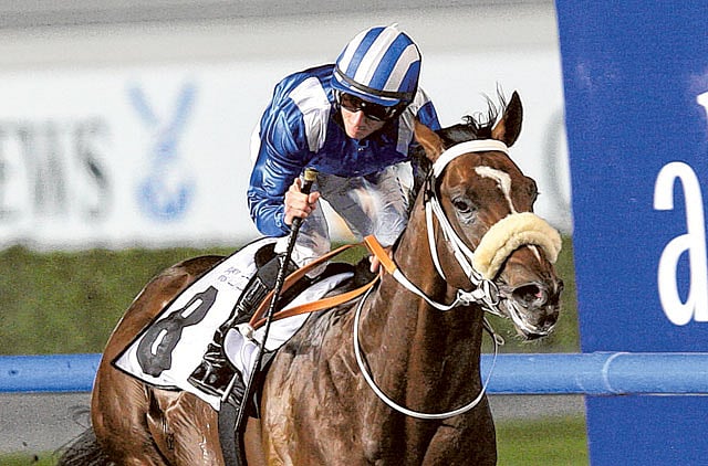 1.1164300-1890833851