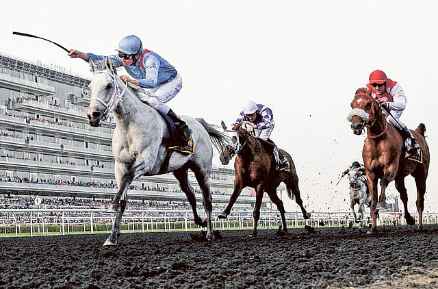 1.1164302-3227090607