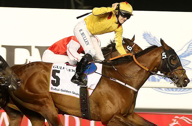 1.1164822-1704638866