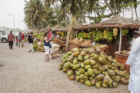 The fruit crop in Oman is thriving and local markets have already recorded a good supply of various fruit.