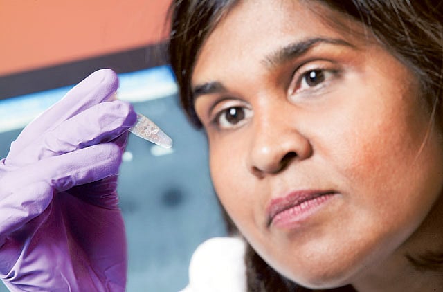 1.1153713-2112603327