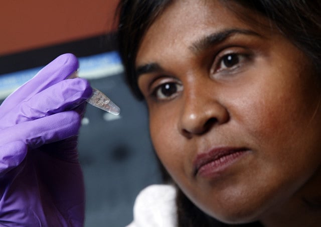 1.1153630-1529011221