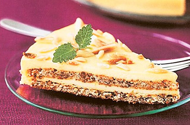 1.1159845-3602831100