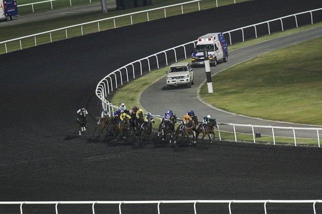 1.1155042-2232952569