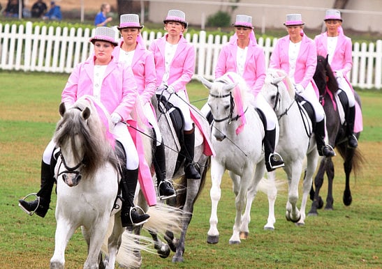 1.1154745-4026830876