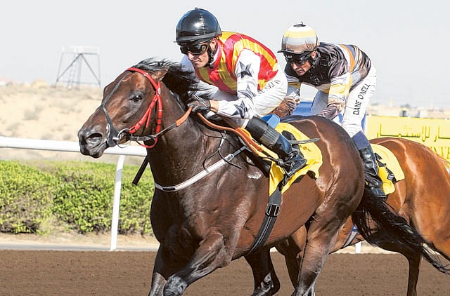 1.1155438-2896234989