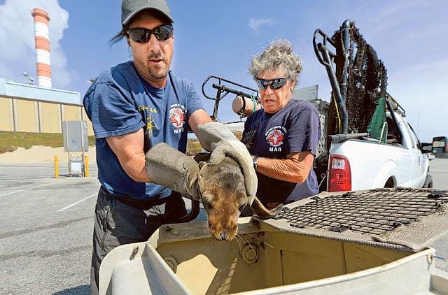 1.1171191-1421928601