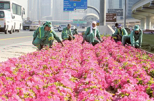 1.1172222-3236188071