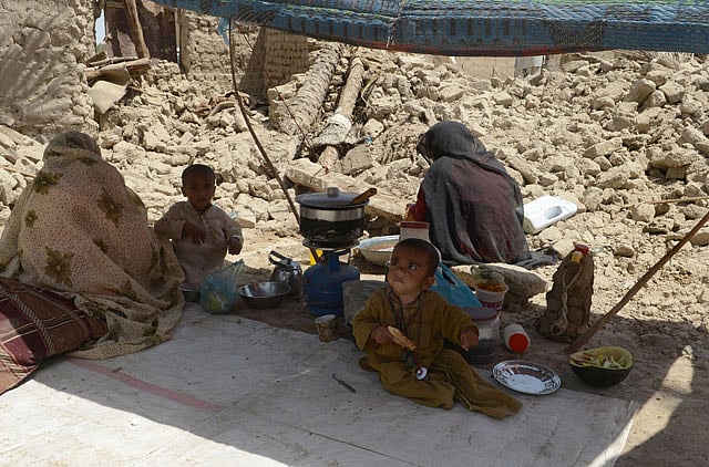 1.1172522-3640116334