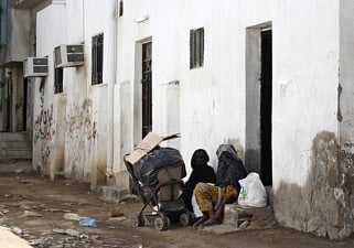 1.1165731-1720862906