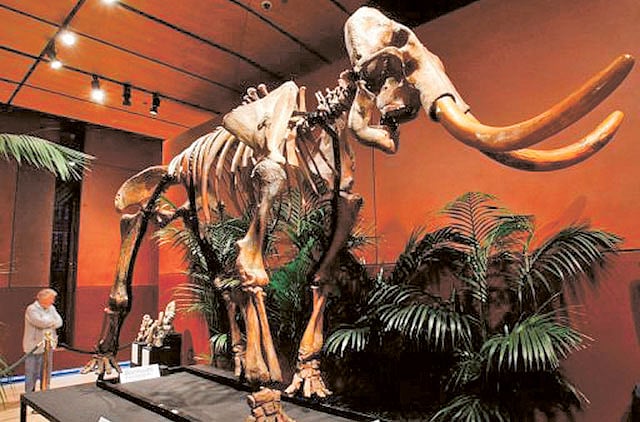 1.1173607-2705873491