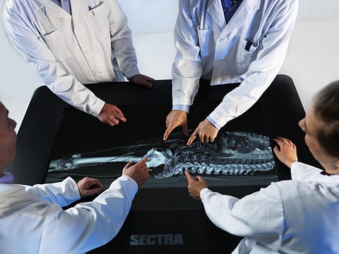 ‘Virtopsy’: the virtual autopsy